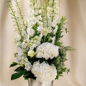 fwthumbwhite pedestal display.jpg